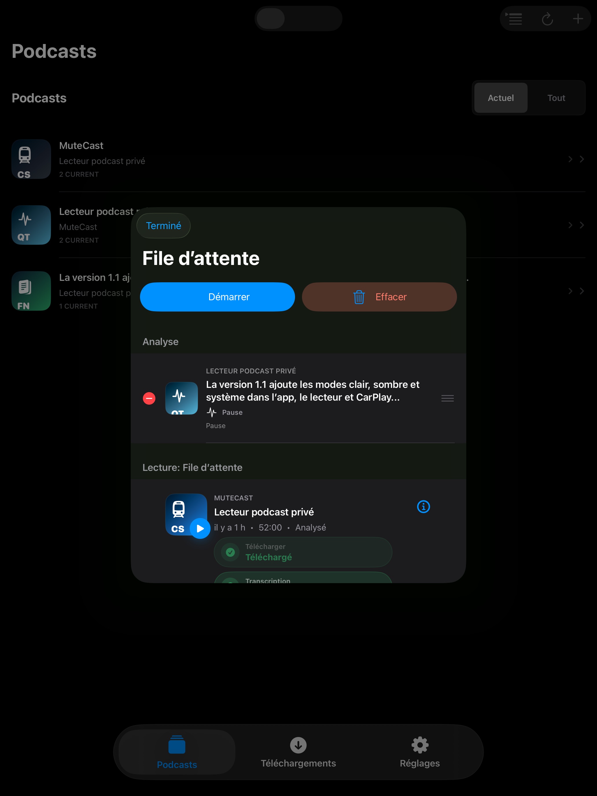 MuteCast ipados App Store screenshot 8