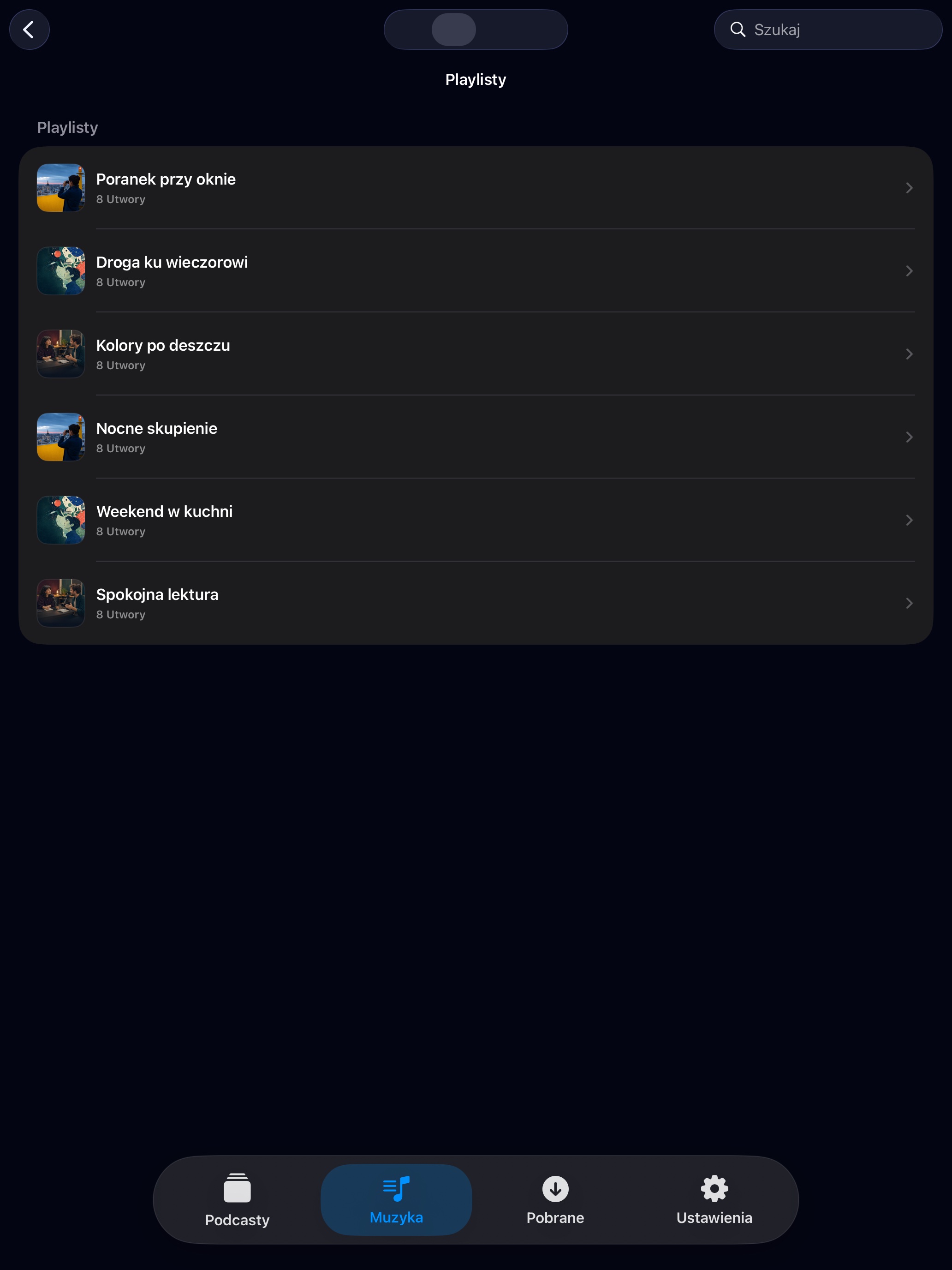 MuteCast ipados App Store screenshot 9