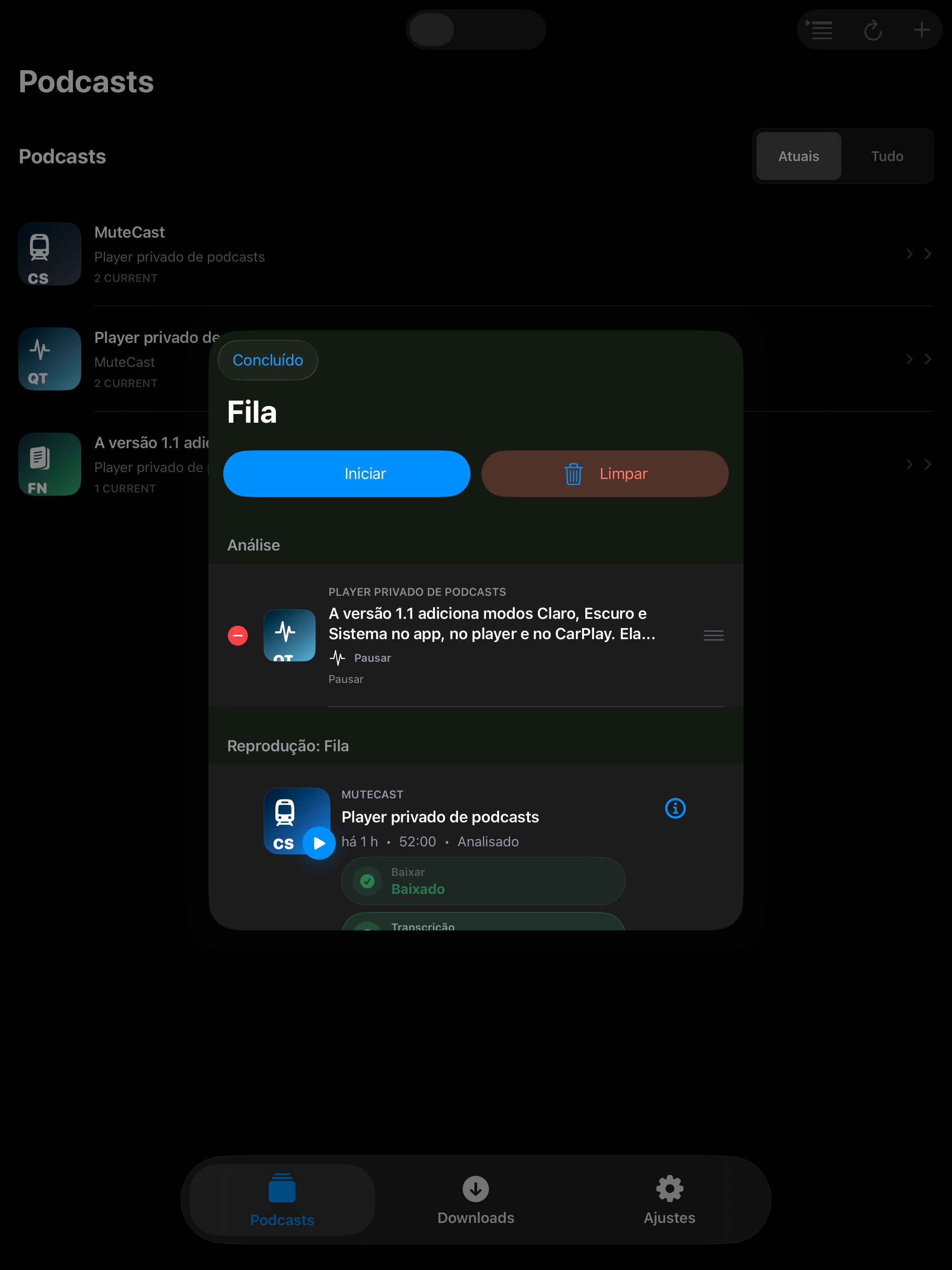 MuteCast ipados App Store screenshot 8