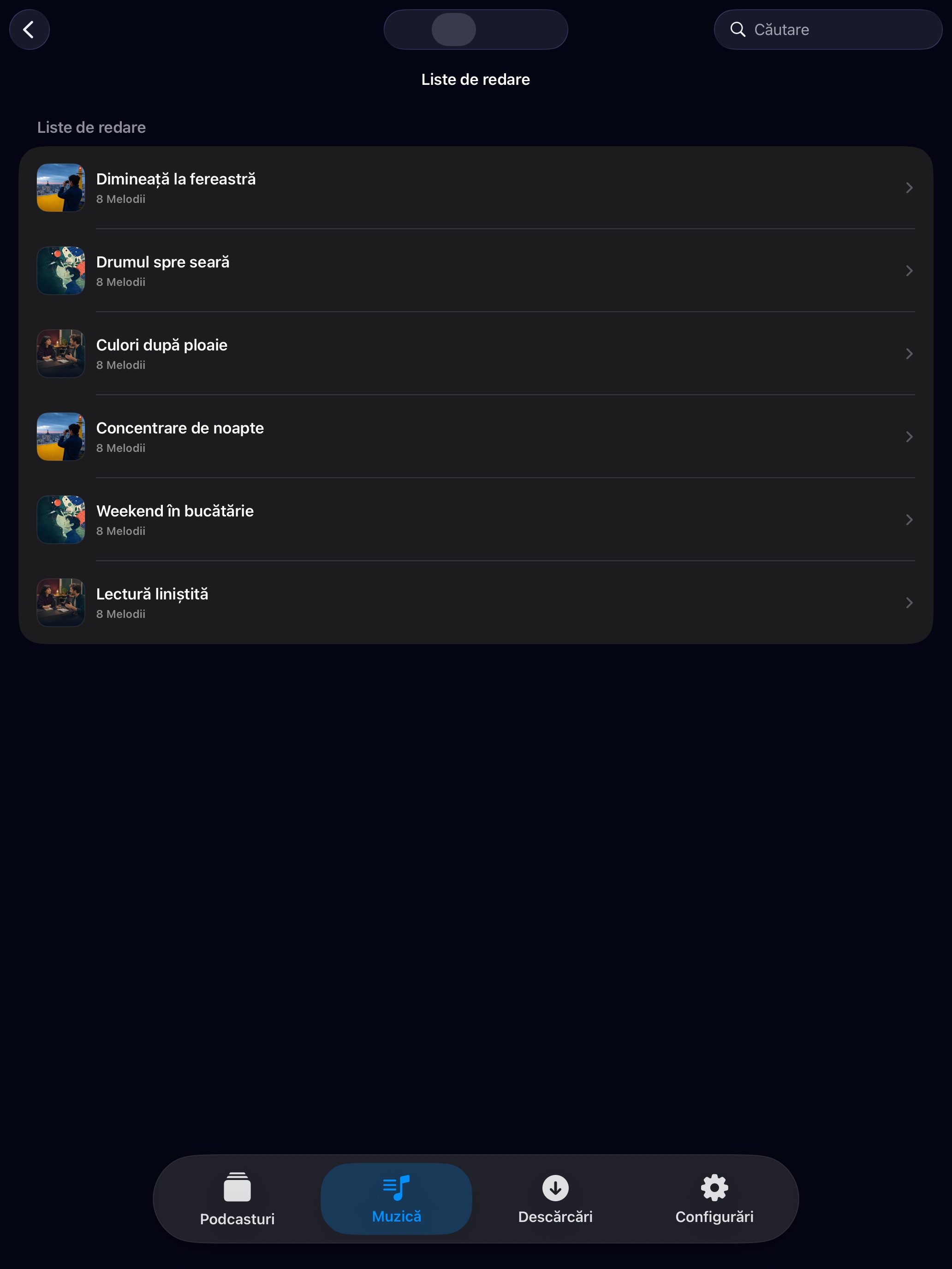 MuteCast ipados App Store screenshot 9
