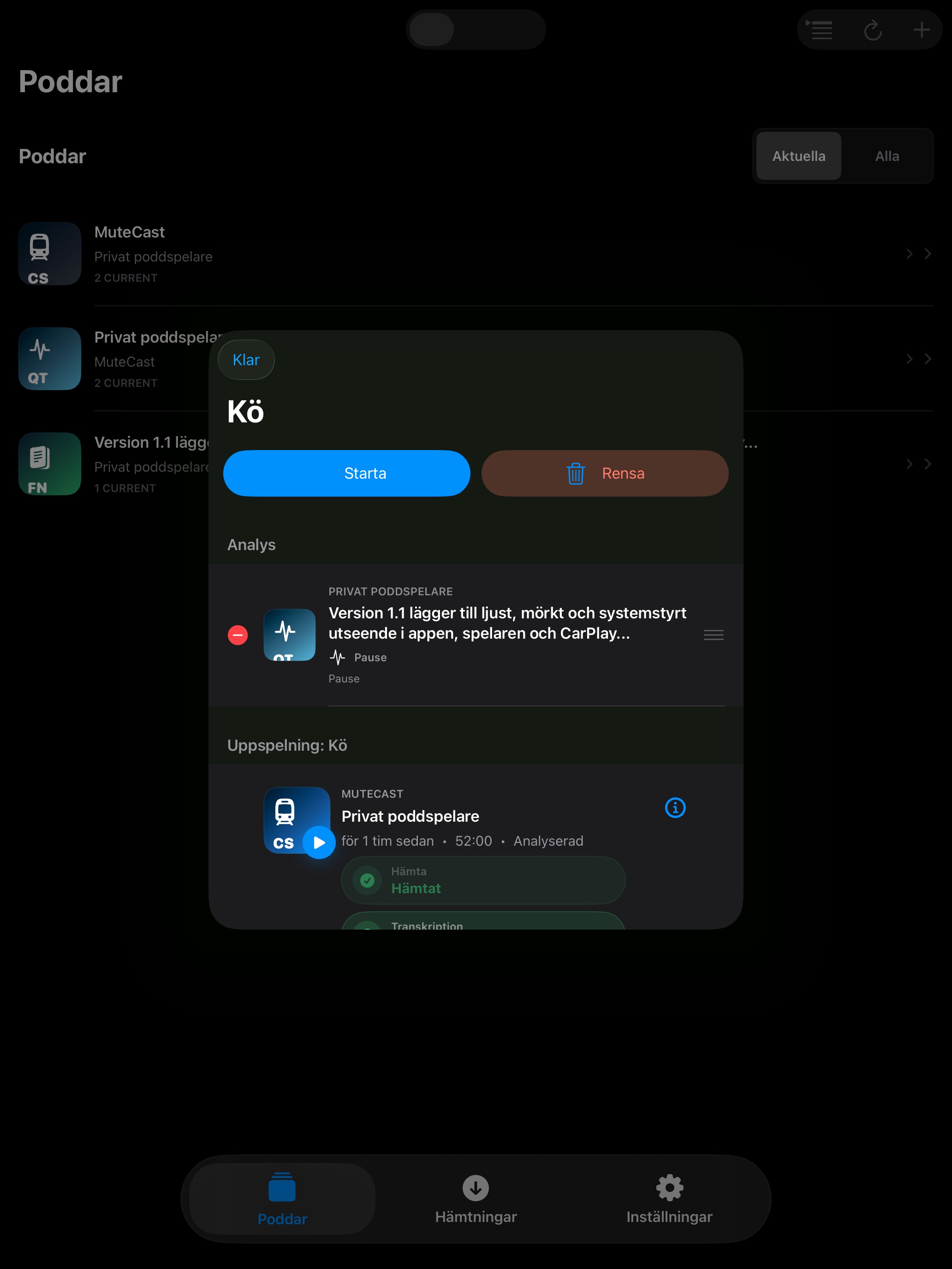 MuteCast ipados App Store screenshot 8