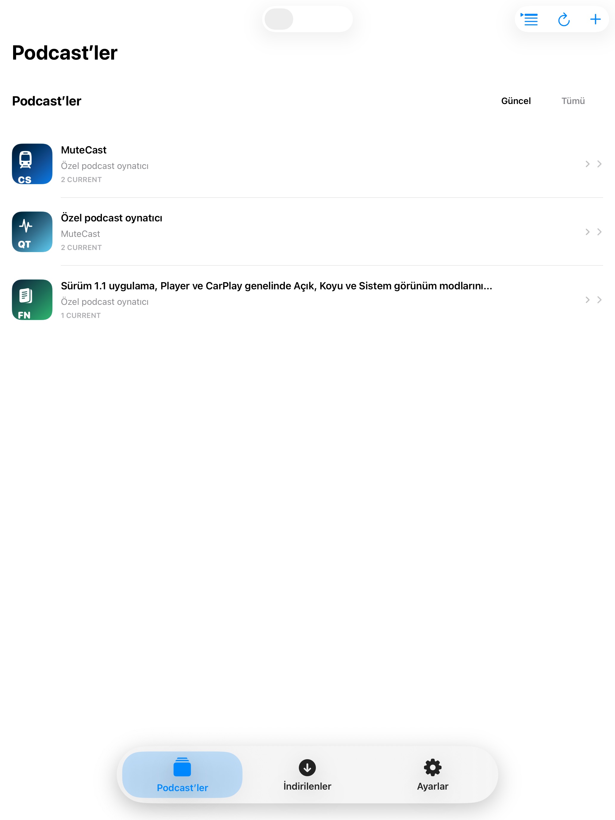 MuteCast ipados App Store screenshot 1
