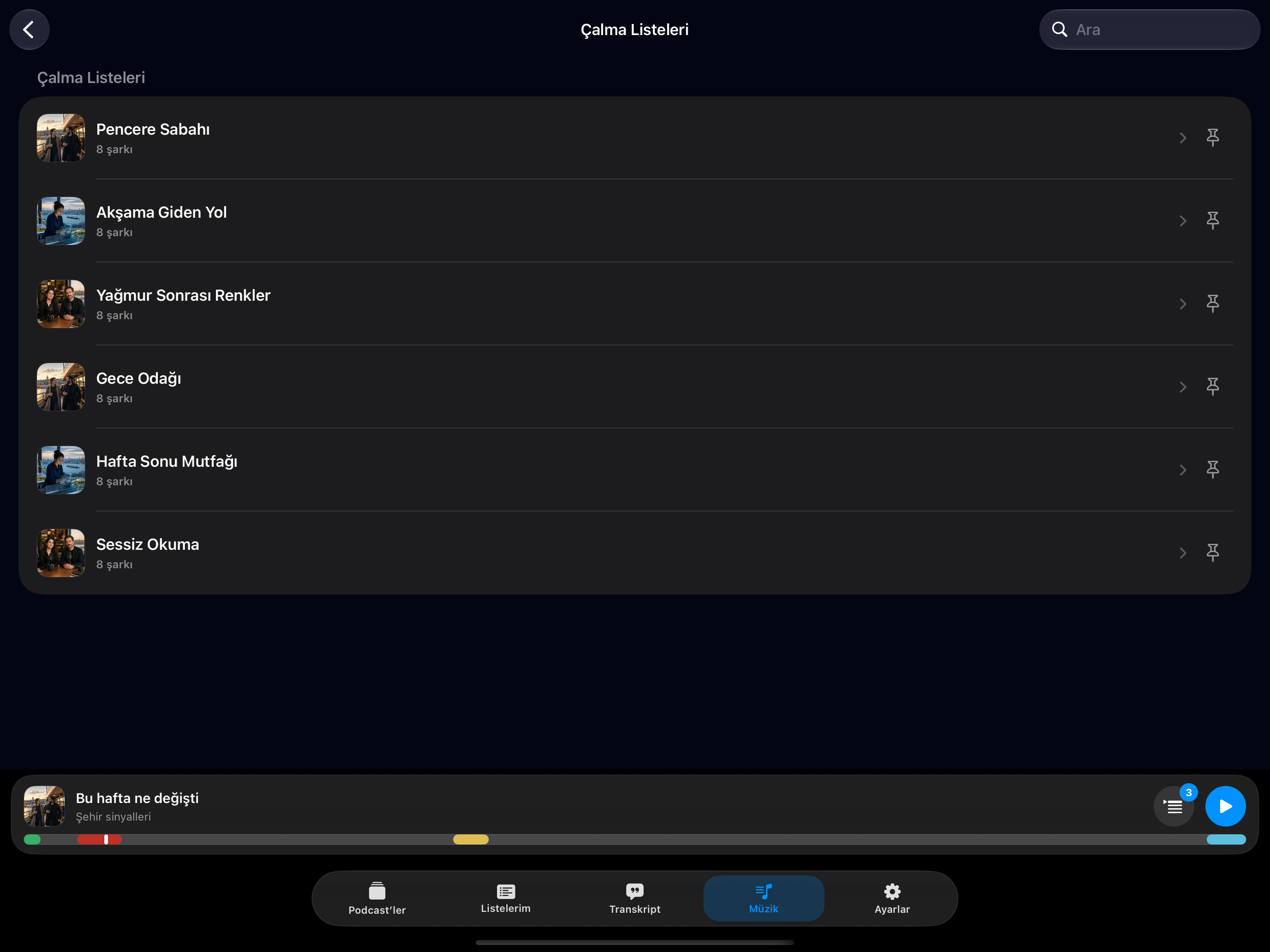 MuteCast iPad screenshot 9: ipad 13 music