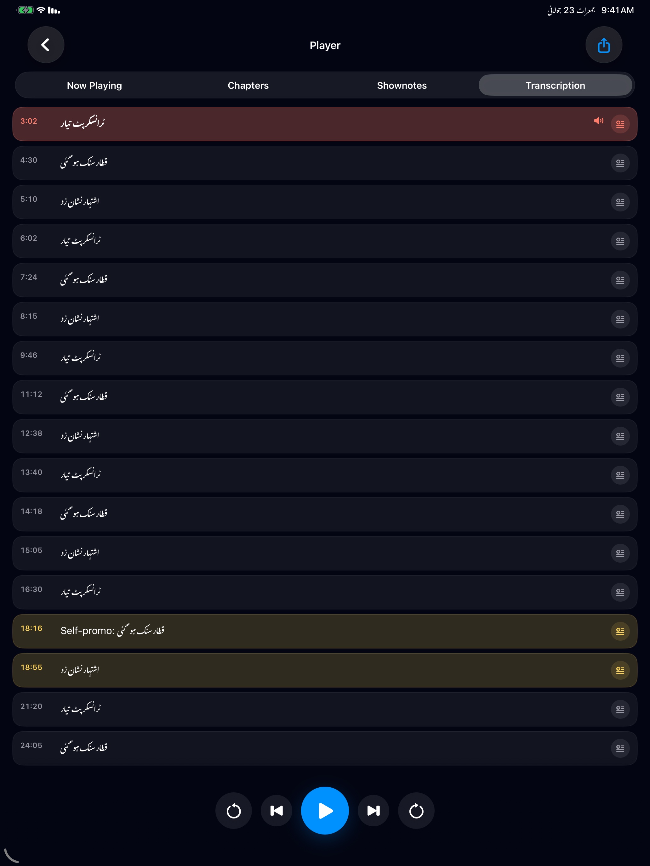 MuteCast ipados App Store screenshot 6