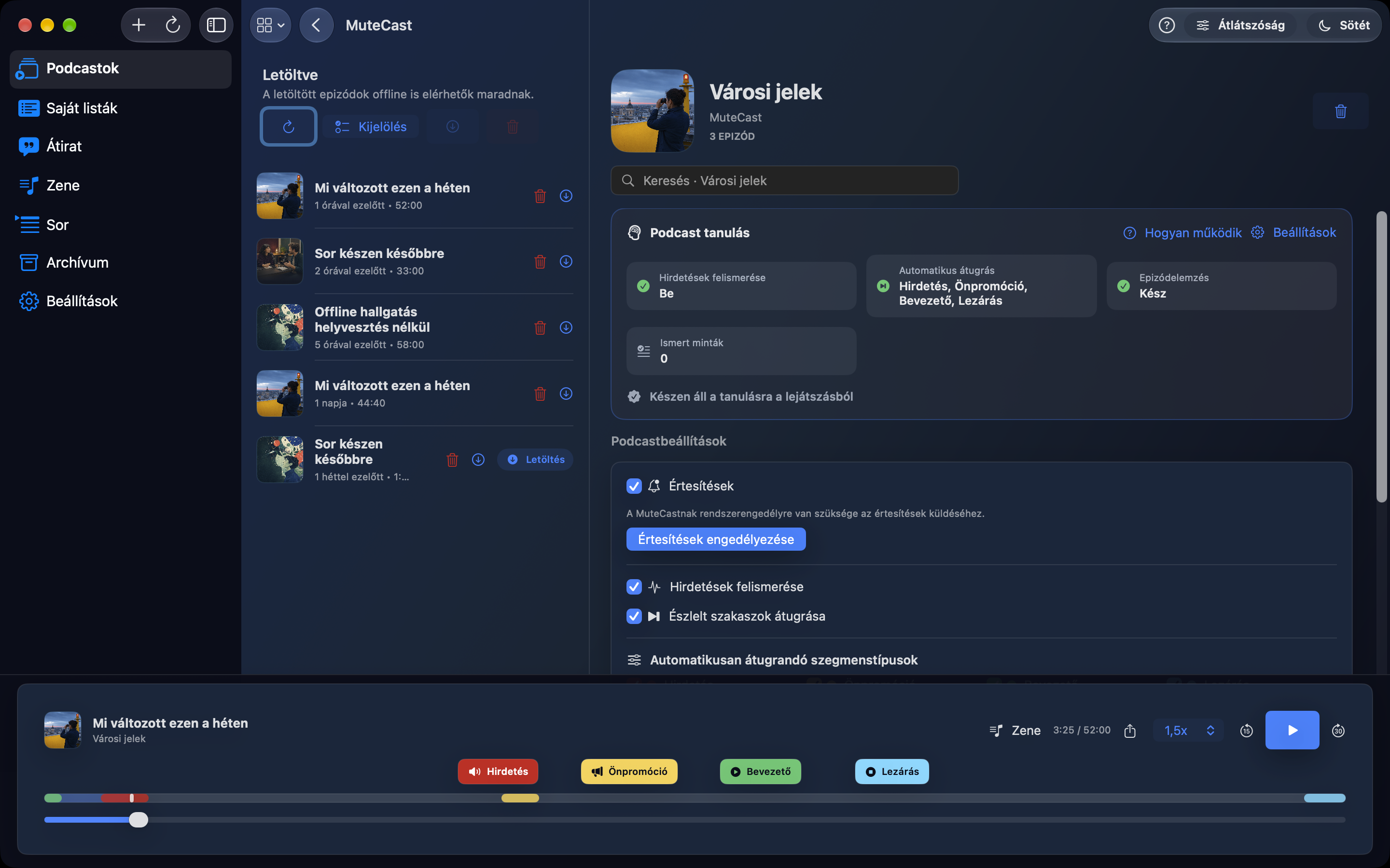 MuteCast Mac screenshot 3: Podcastbeállítások