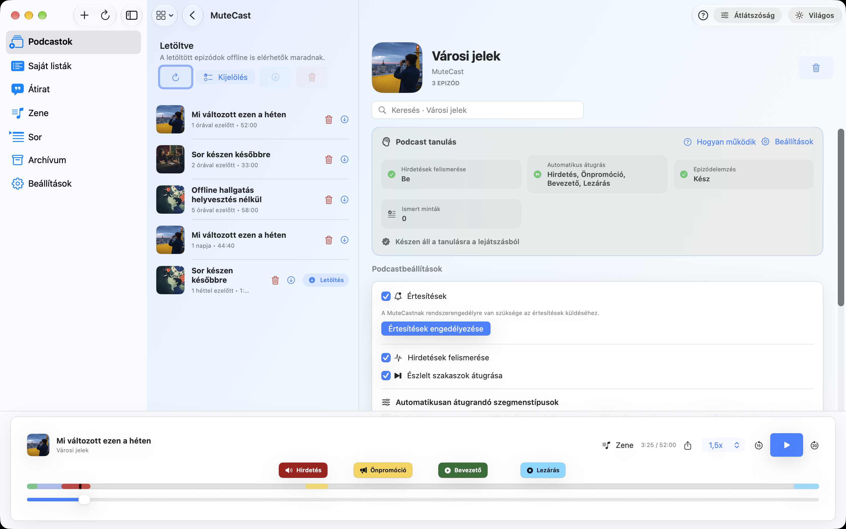 MuteCast Mac screenshot 6: Podcastbeállítások