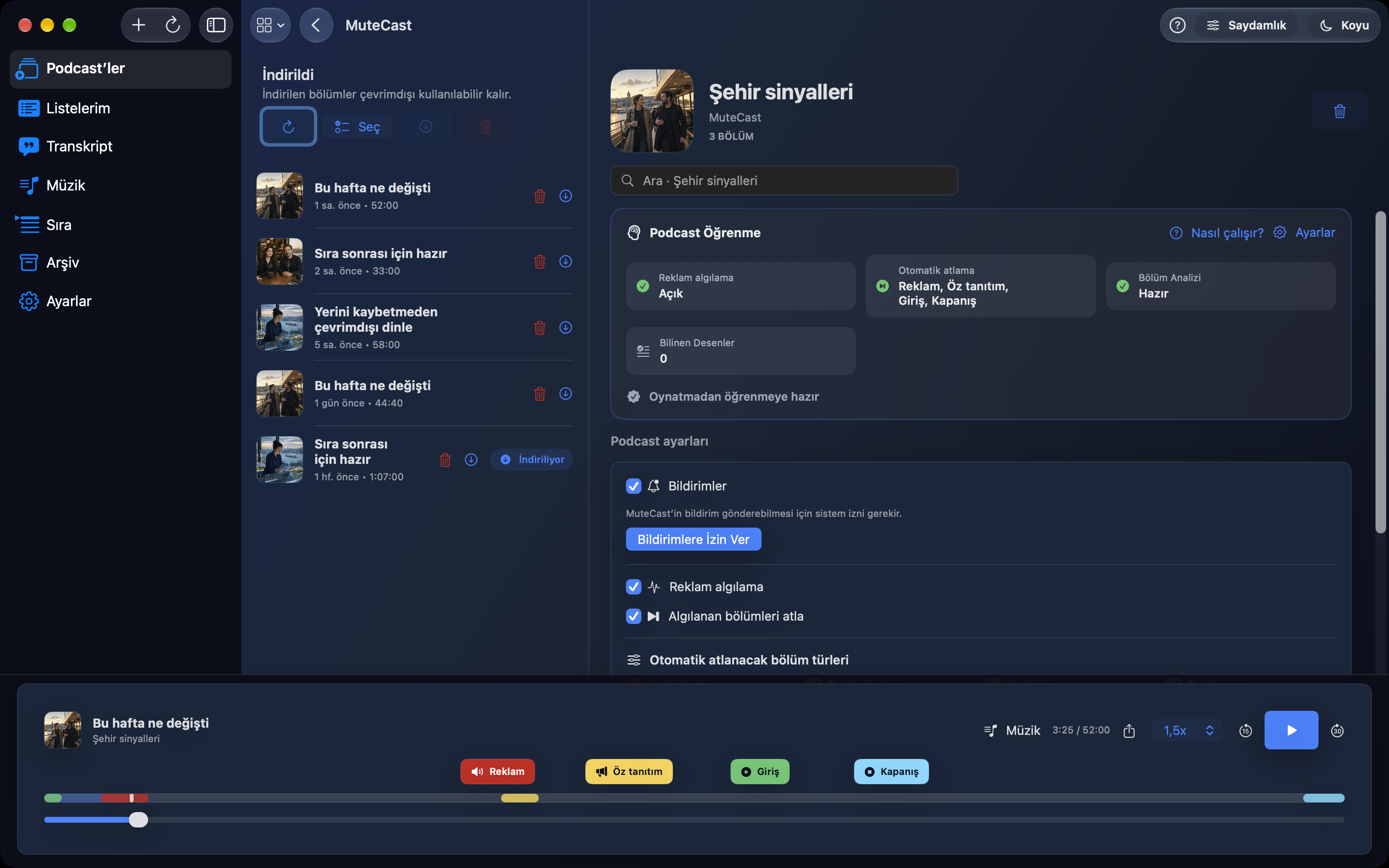 MuteCast Mac screenshot 3: Podcast ayarları
