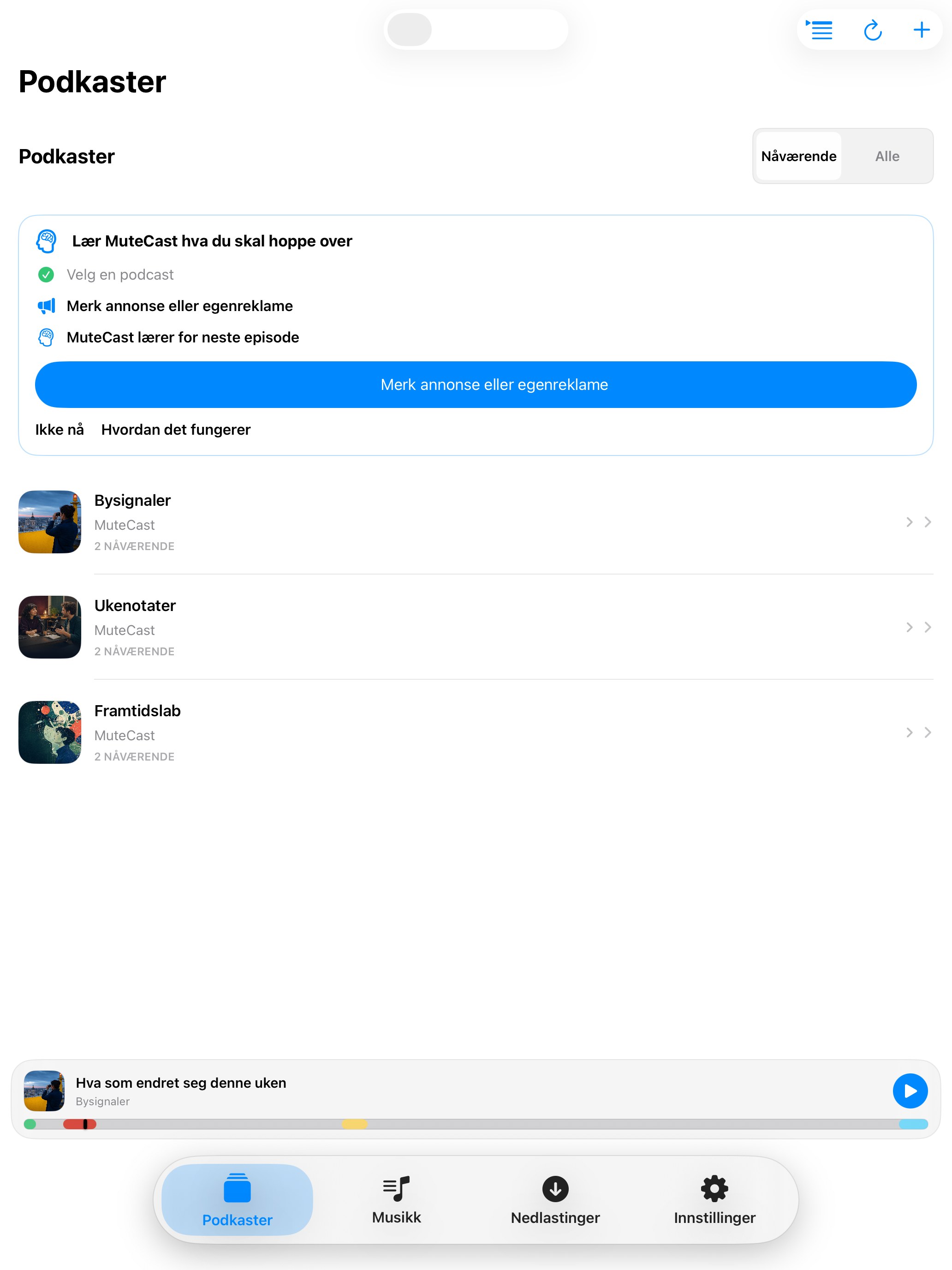 MuteCast ipados App Store screenshot 4