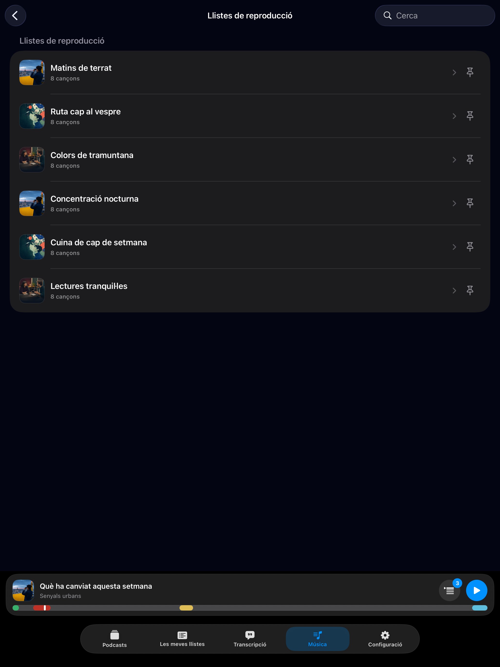 MuteCast ipados App Store screenshot 9