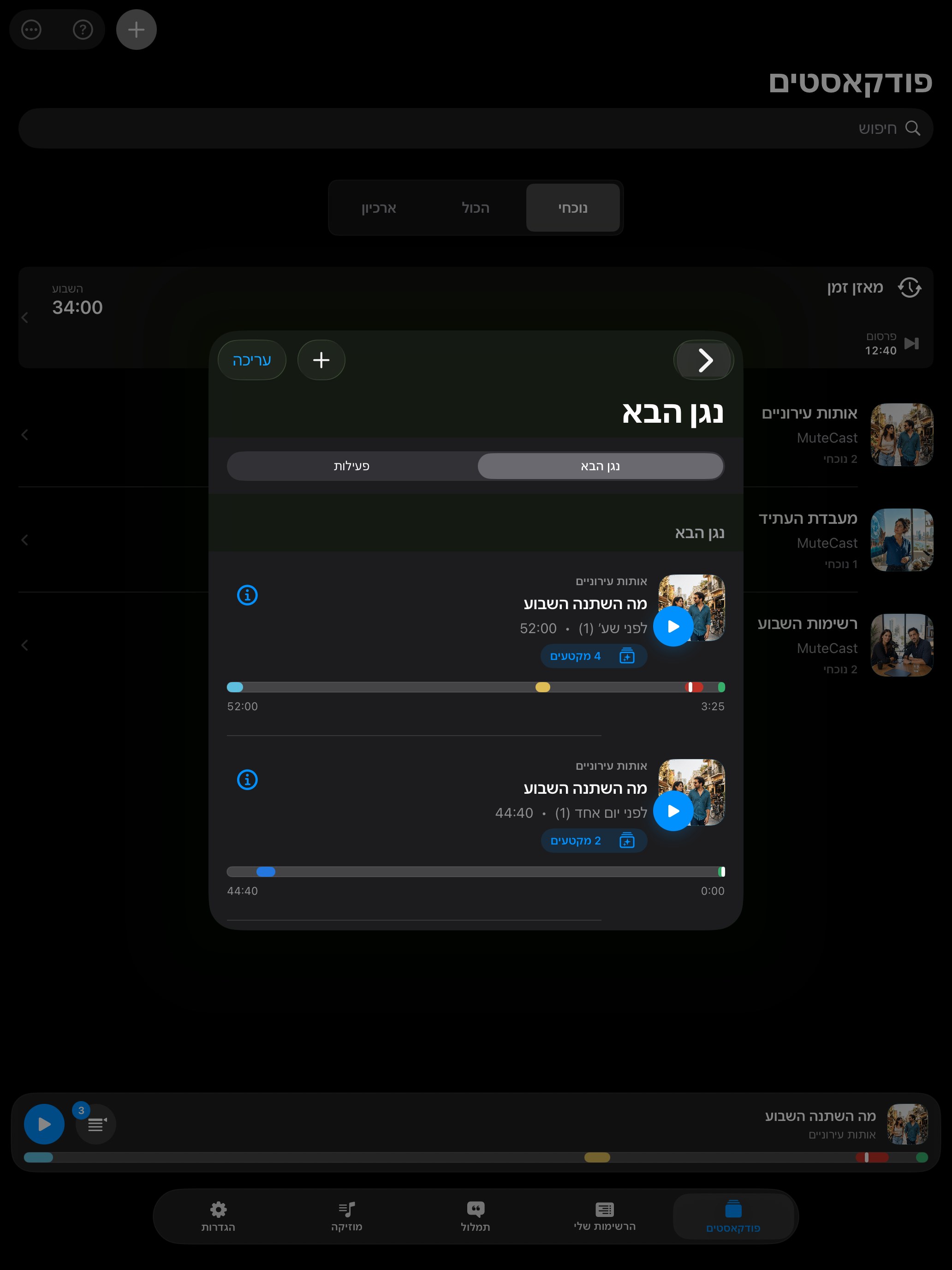MuteCast ipados App Store screenshot 8