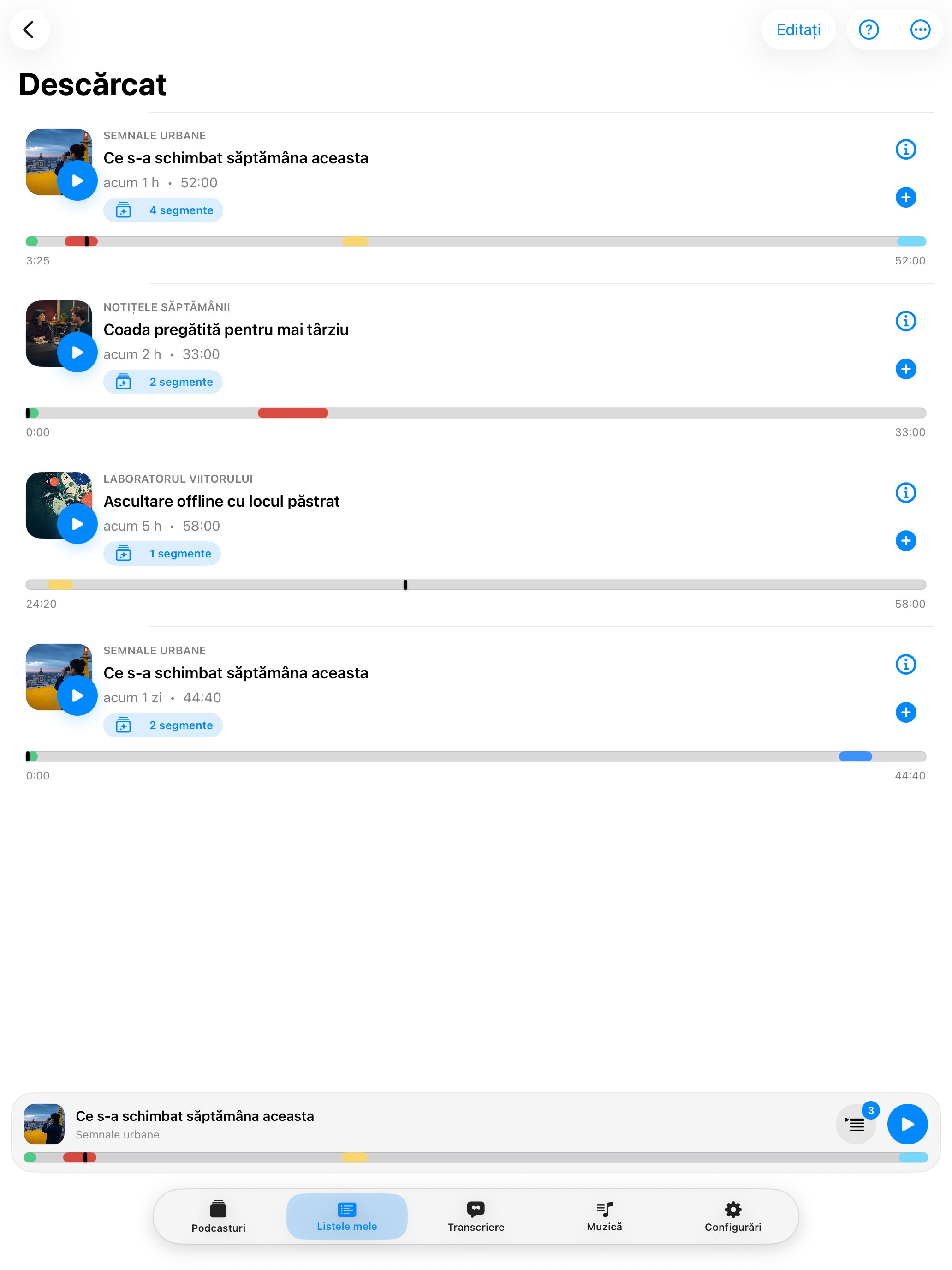 MuteCast ipados App Store screenshot 5