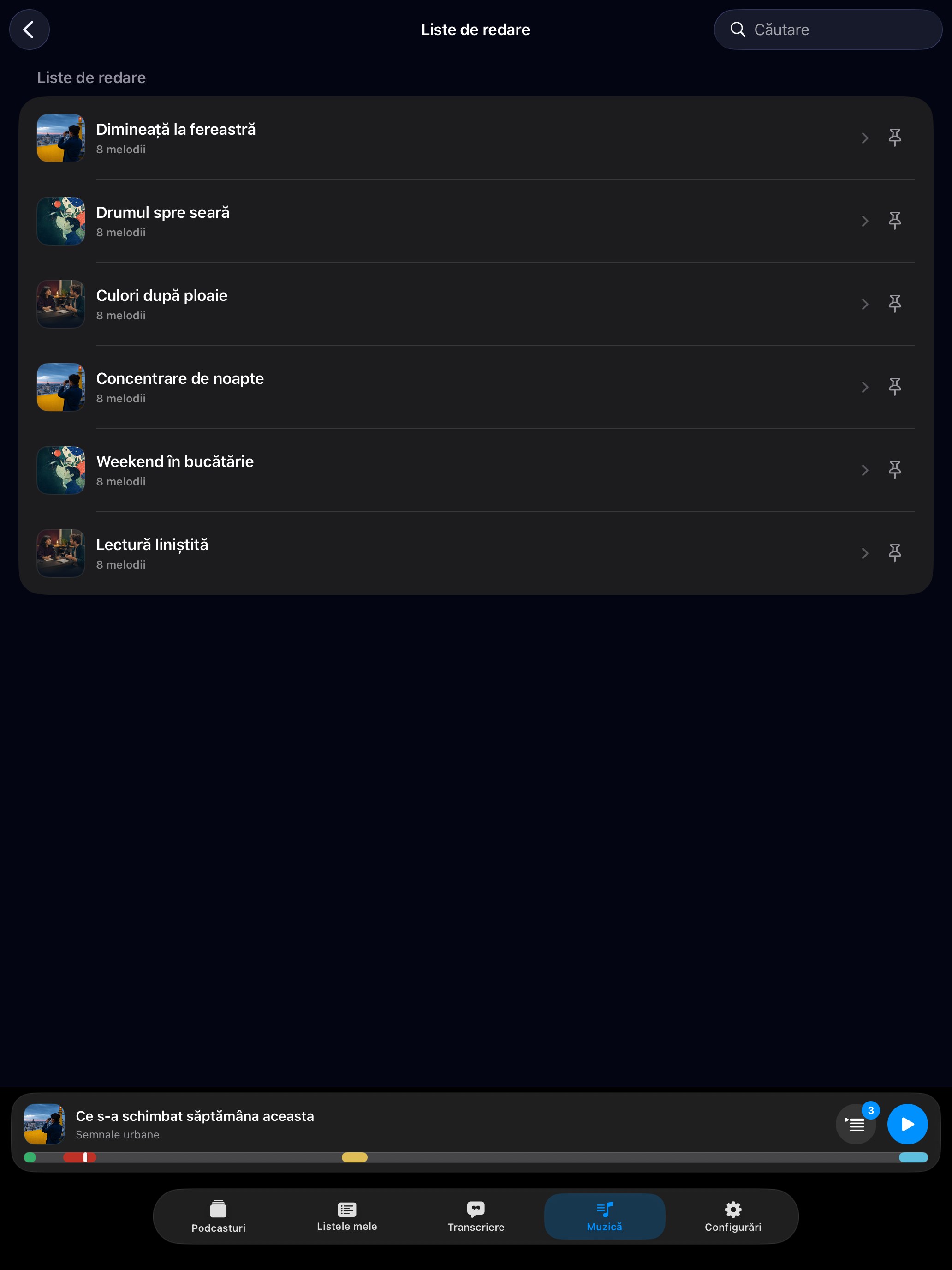 MuteCast ipados App Store screenshot 9