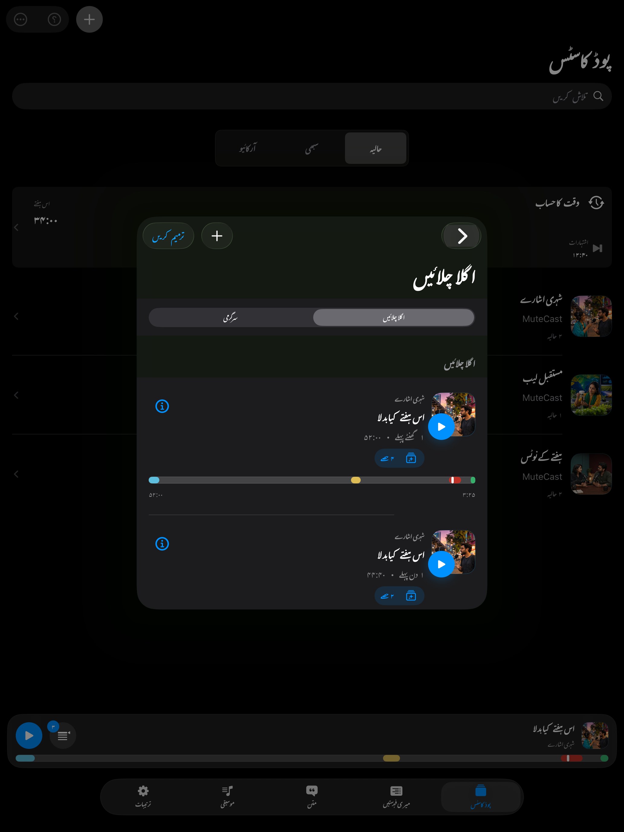 MuteCast ipados App Store screenshot 8