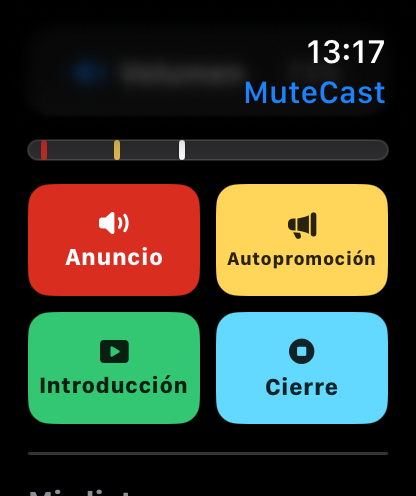 MuteCast Apple Watch screenshot 2: watch 46 controls