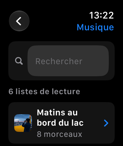MuteCast Apple Watch screenshot 6: watch 46 music