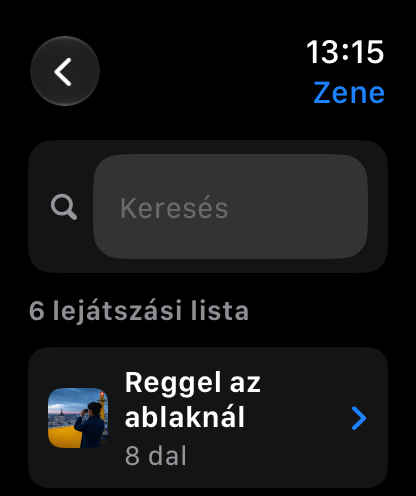 MuteCast Apple Watch screenshot 6: watch 46 music