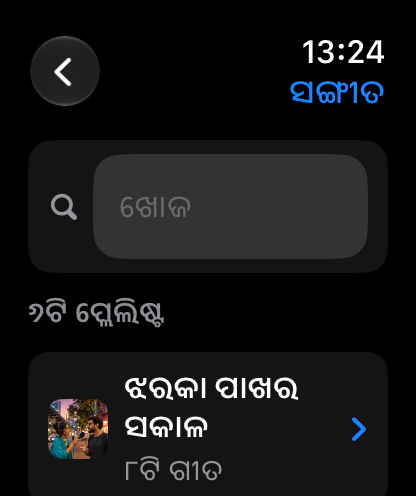 MuteCast Apple Watch screenshot 6: watch 46 music