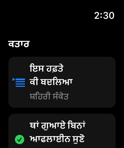 MuteCast watchos App Store screenshot 3