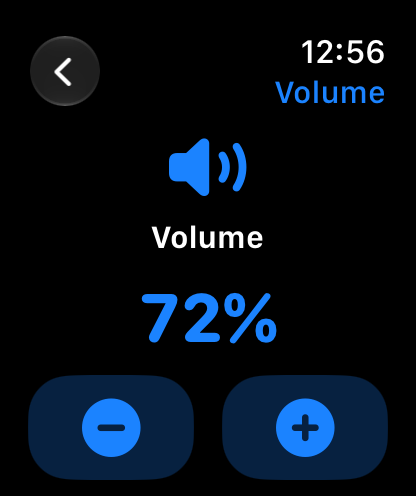 MuteCast Apple Watch screenshot 3: watch 46 volume