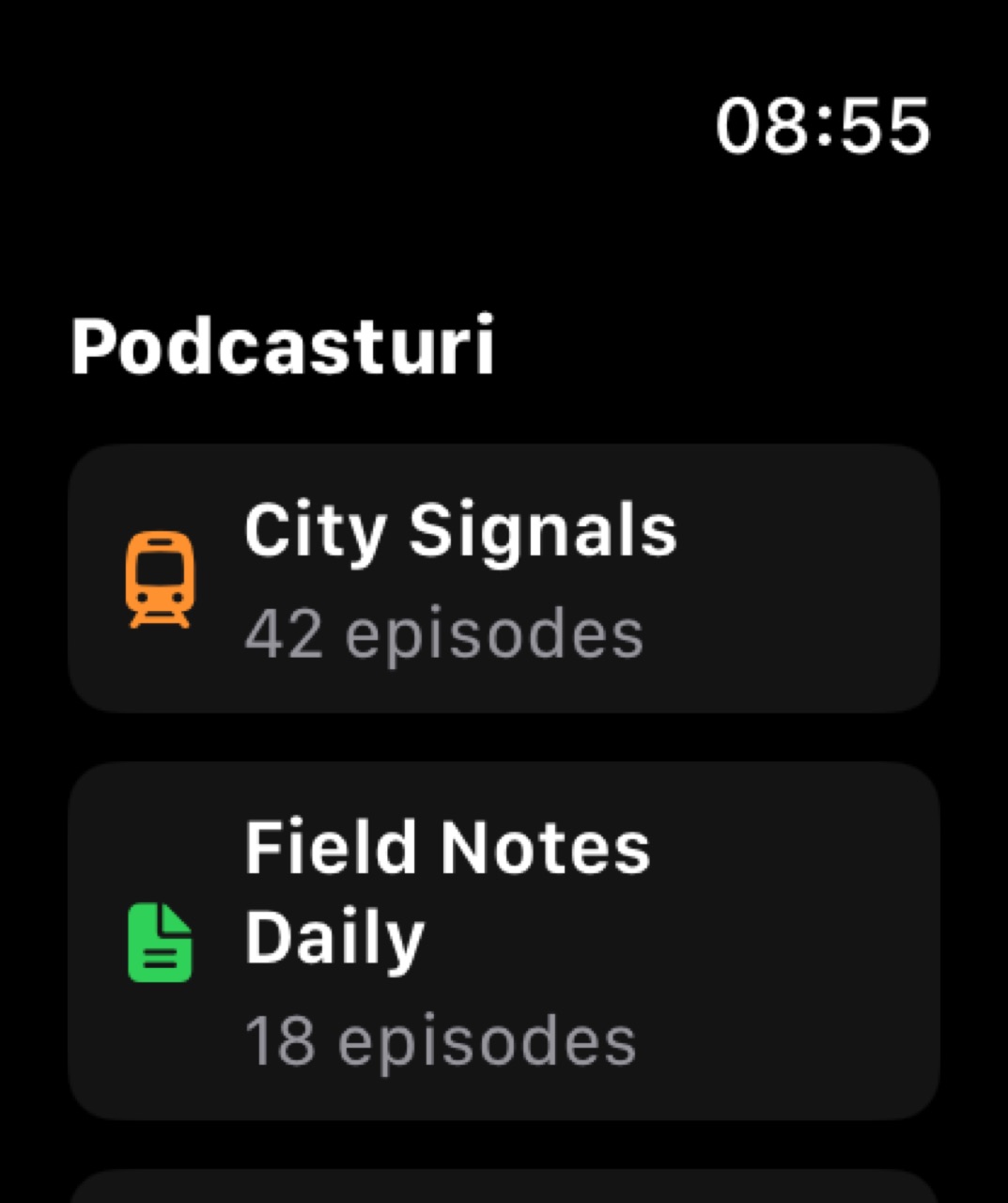 MuteCast watchos App Store screenshot 5