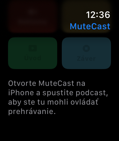 MuteCast Apple Watch screenshot 8: watch 46 sync