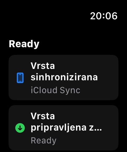 MuteCast watchos App Store screenshot 8