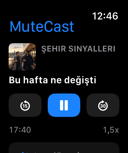 MuteCast Apple Watch screenshot 1: watch 46 main
