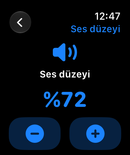 MuteCast Apple Watch screenshot 3: watch 46 volume