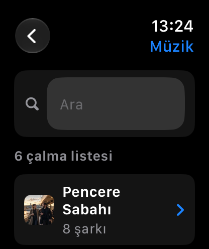MuteCast Apple Watch screenshot 6: watch 46 music