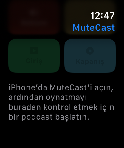 MuteCast Apple Watch screenshot 8: watch 46 sync