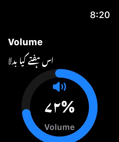 MuteCast watchos App Store screenshot 3