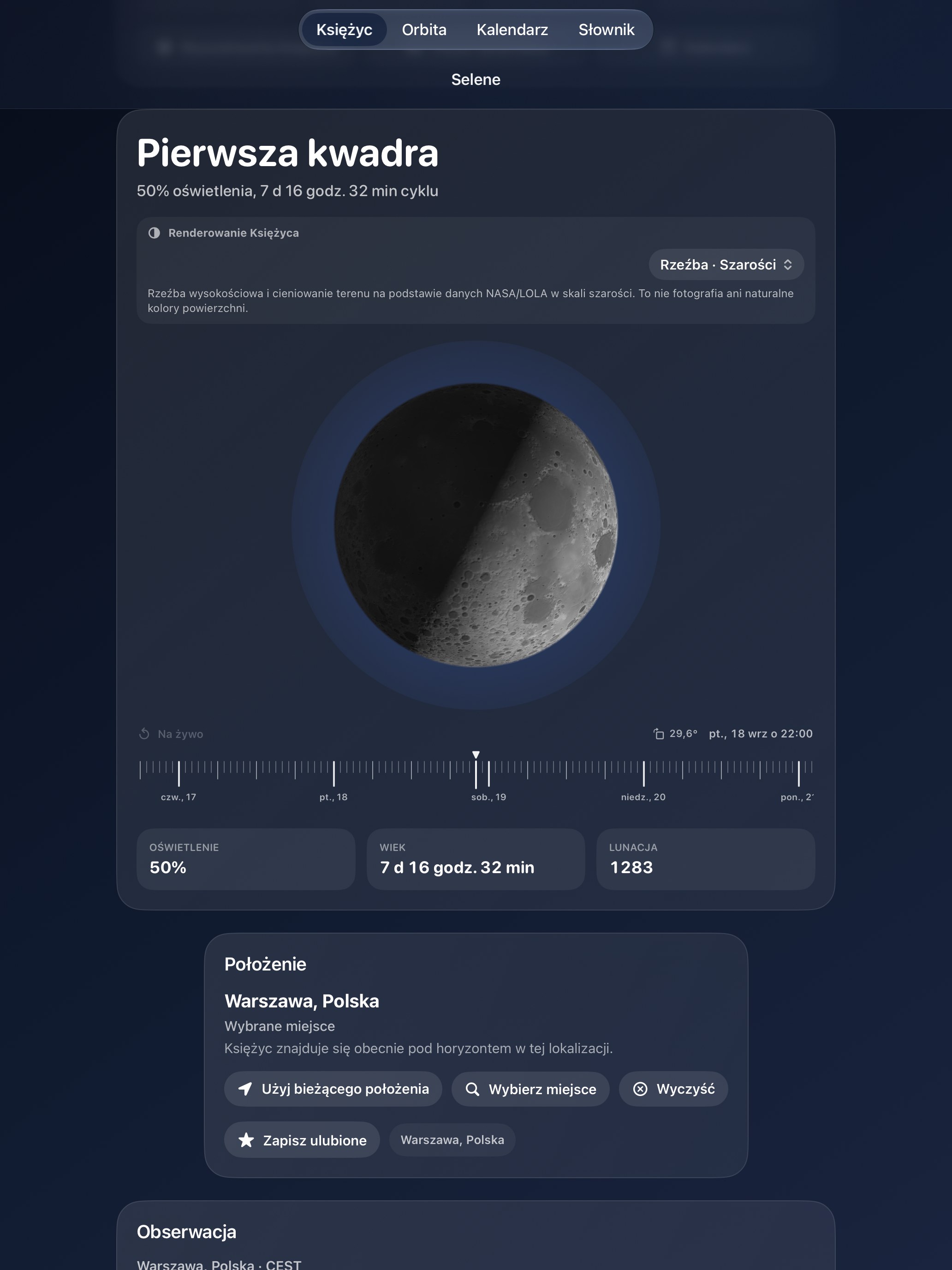Selene iPad screenshot 9: iPad · Rzeźba · Szarości